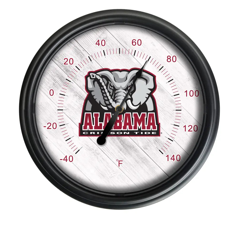 14’’ Indoor/Outdoor LED Thermometer - Big Al - Novelties
