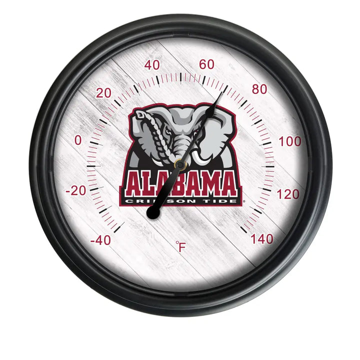 14’’ Indoor/Outdoor LED Thermometer - Big Al - Novelties