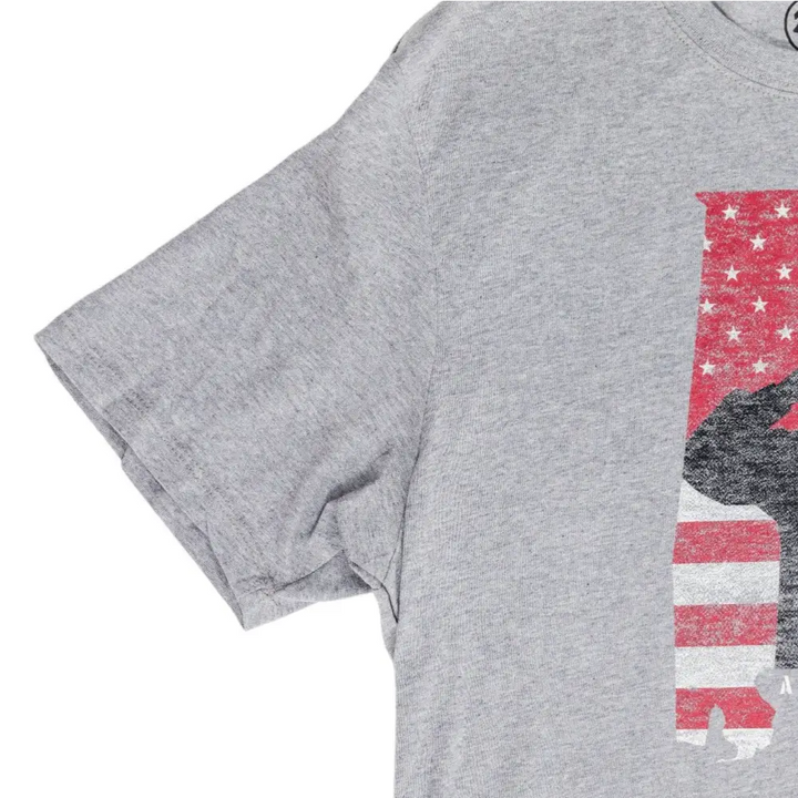 Men’s Gray Super Rival Patriot Tee - Apparel